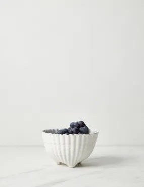 Aparte Footed Bowl by Costa Nova