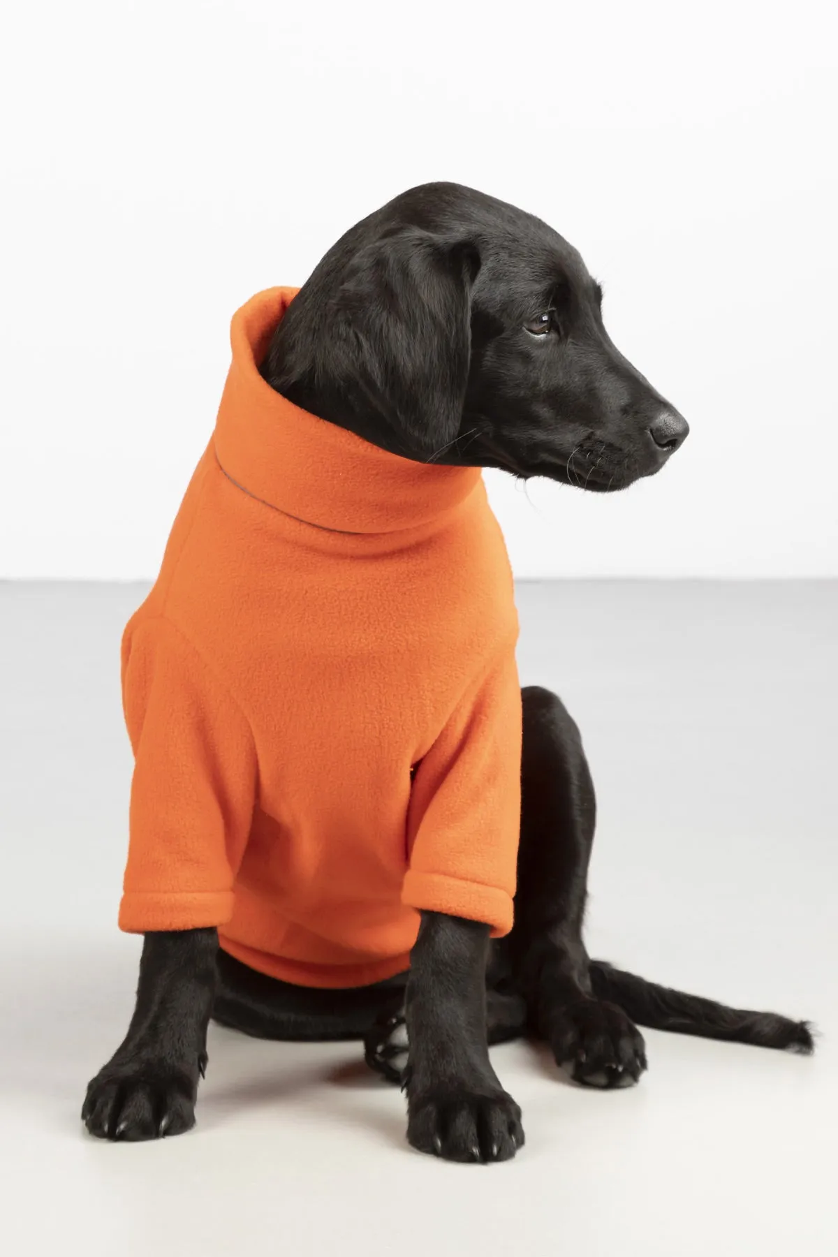 Fleece Dog Jumper - Yapham