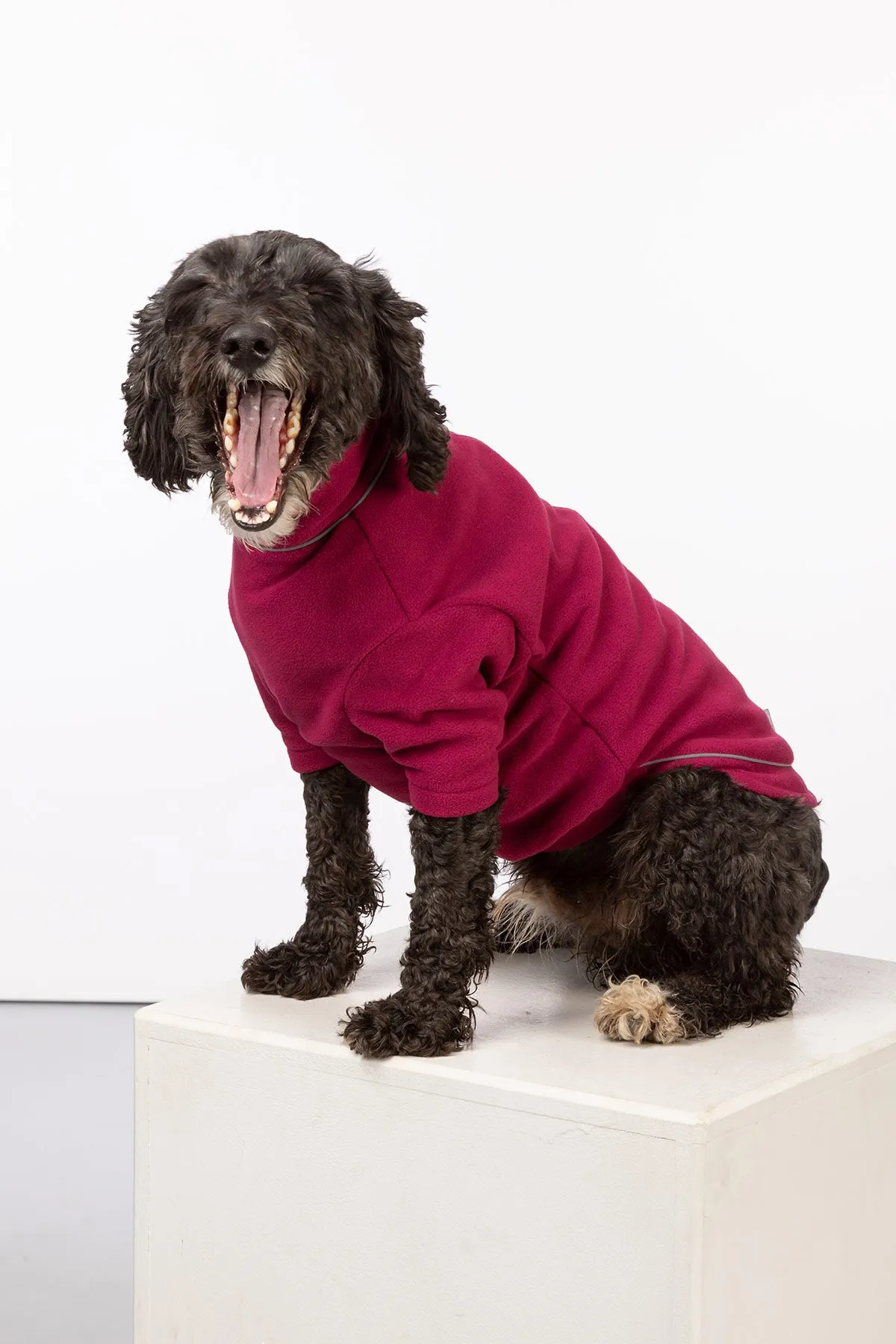 Fleece Dog Jumper - Yapham