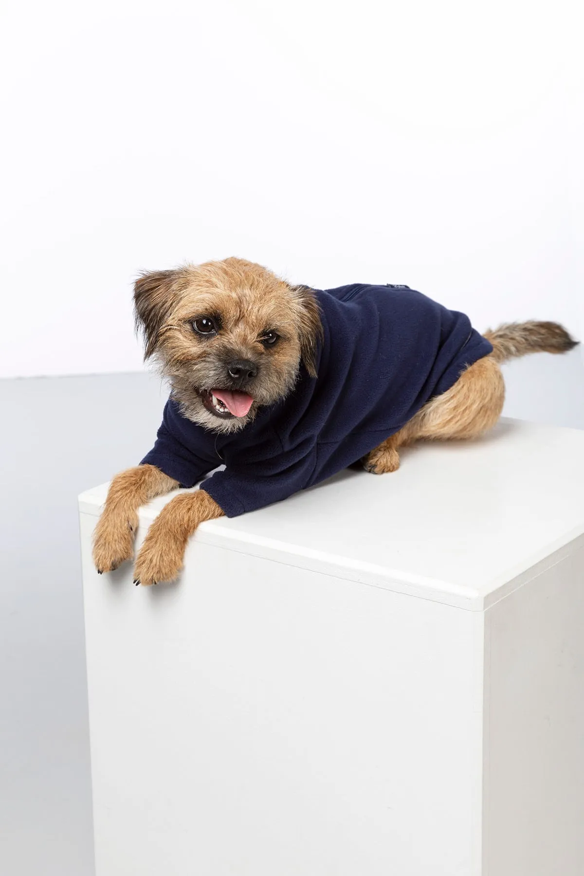 Fleece Dog Jumper - Yapham