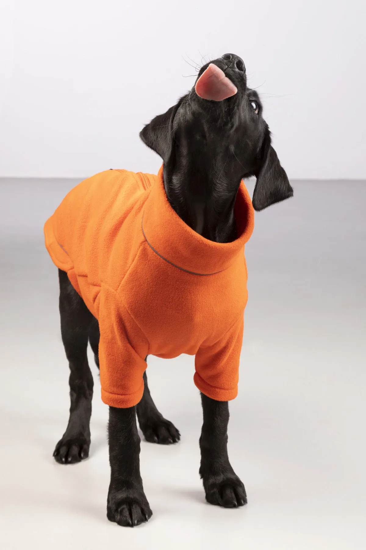 Fleece Dog Jumper - Yapham