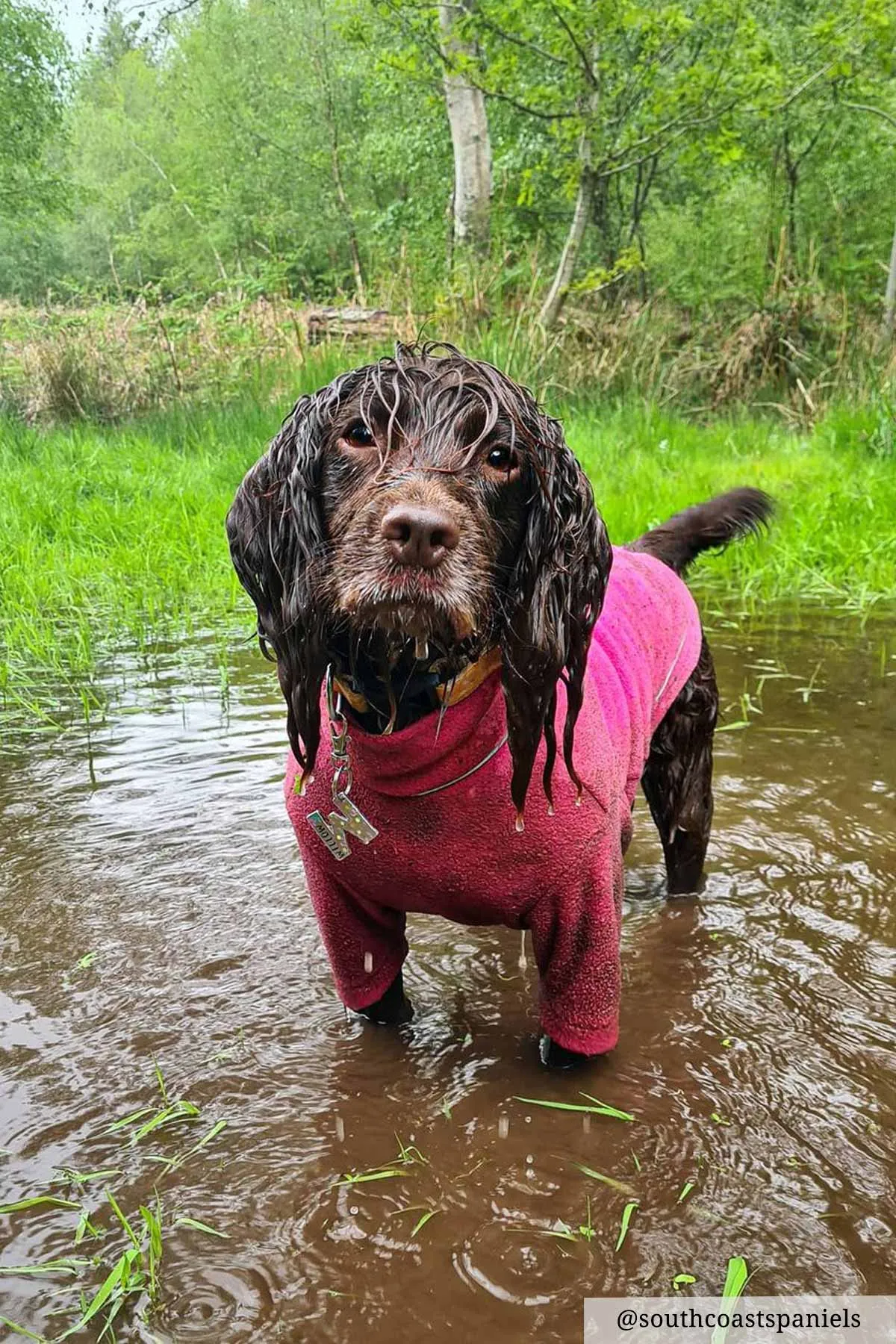 Fleece Dog Jumper - Yapham