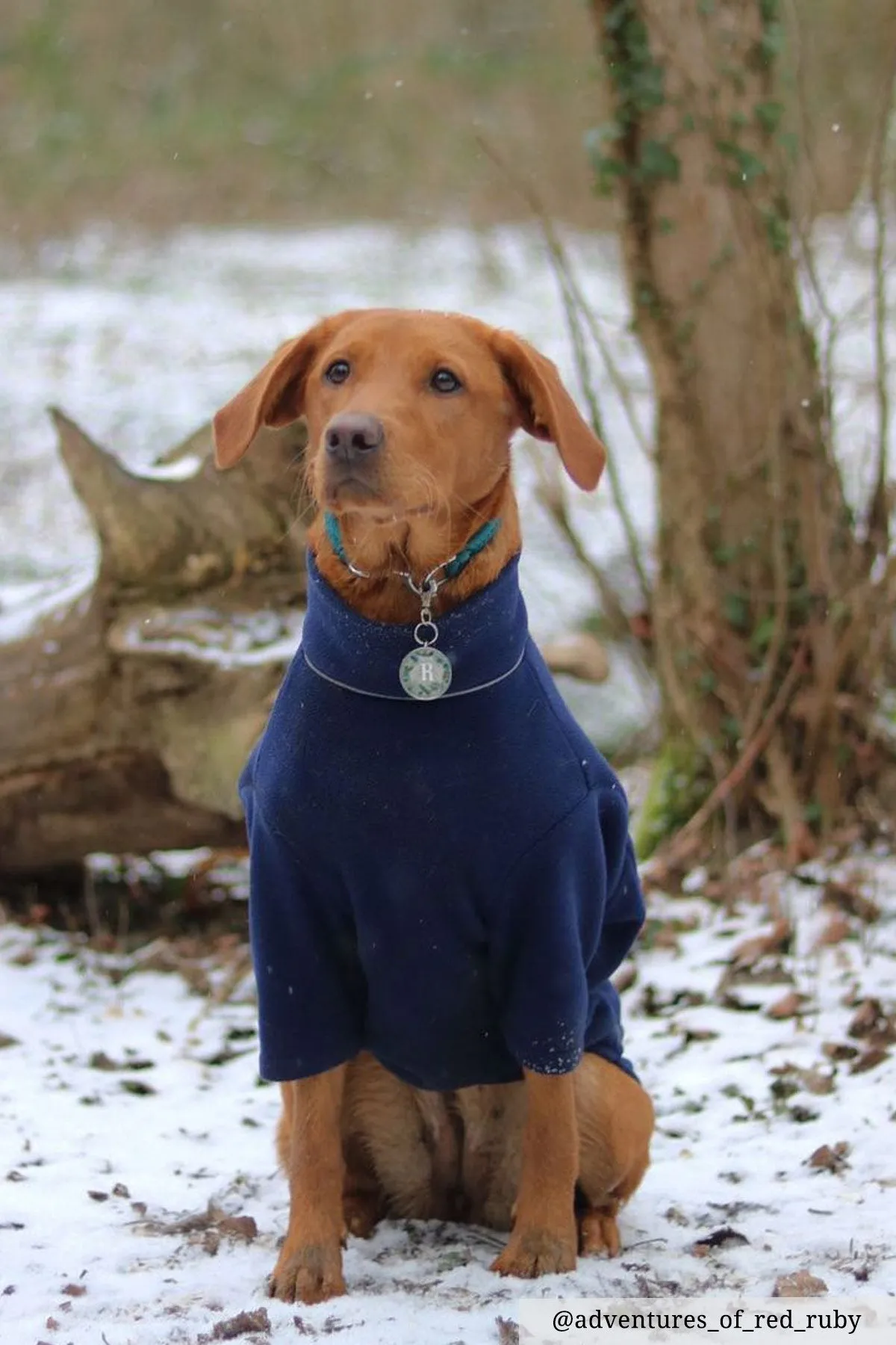 Fleece Dog Jumper - Yapham