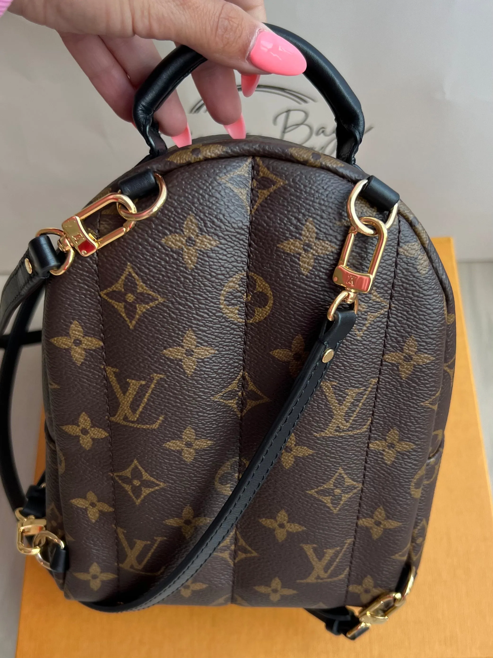 Louis Vuitton Palm Springs Mini Backpack