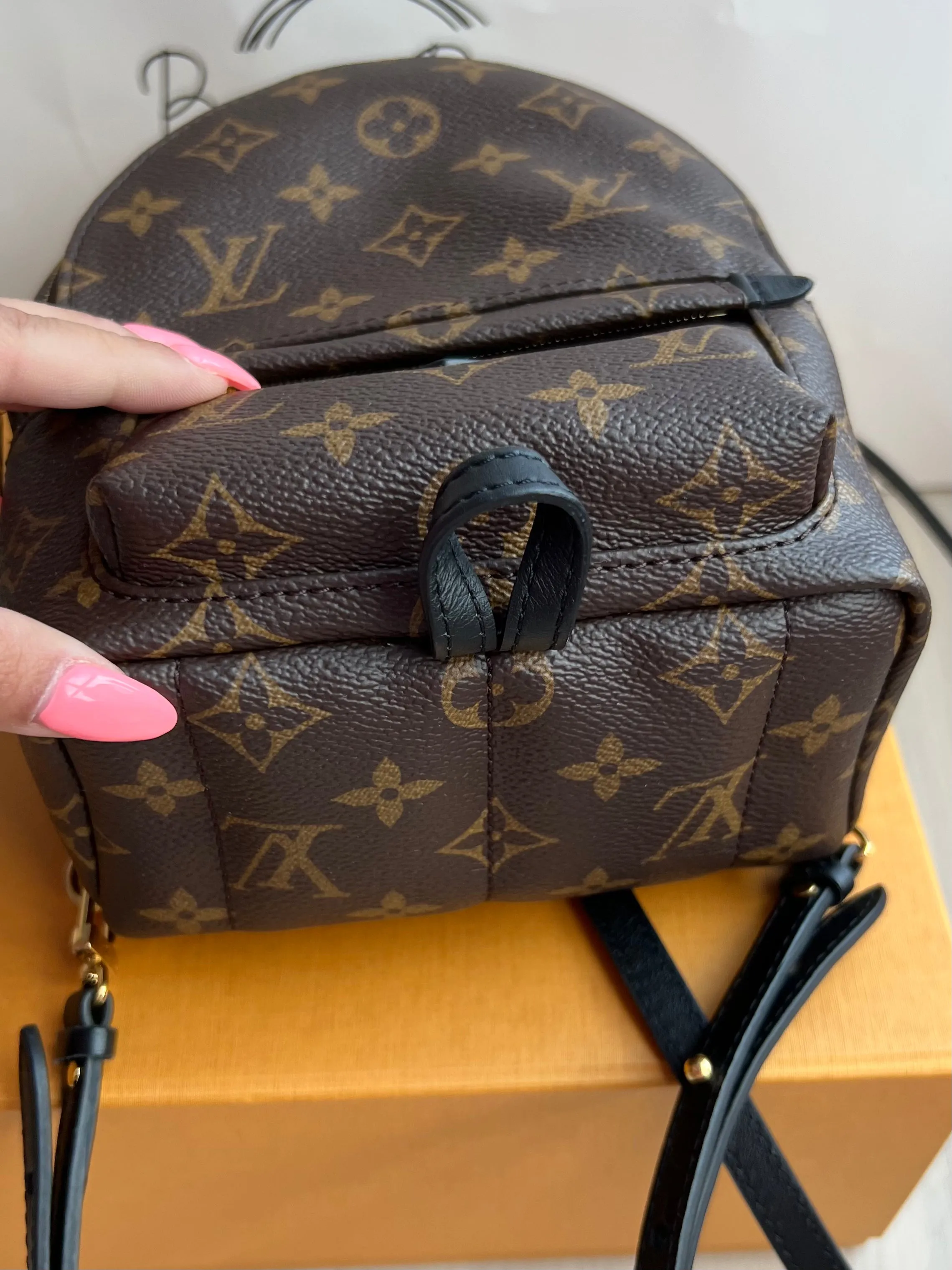 Louis Vuitton Palm Springs Mini Backpack