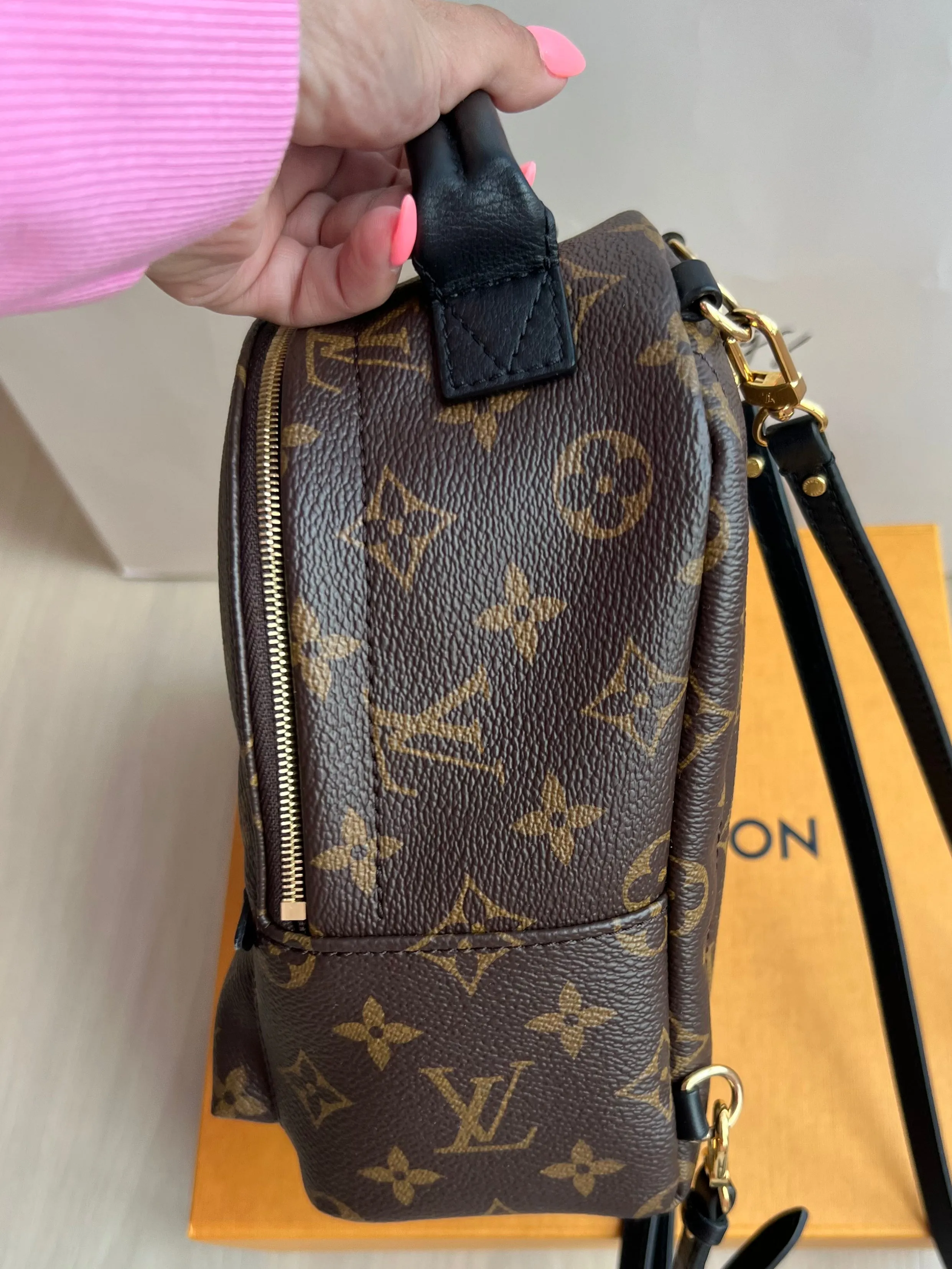 Louis Vuitton Palm Springs Mini Backpack