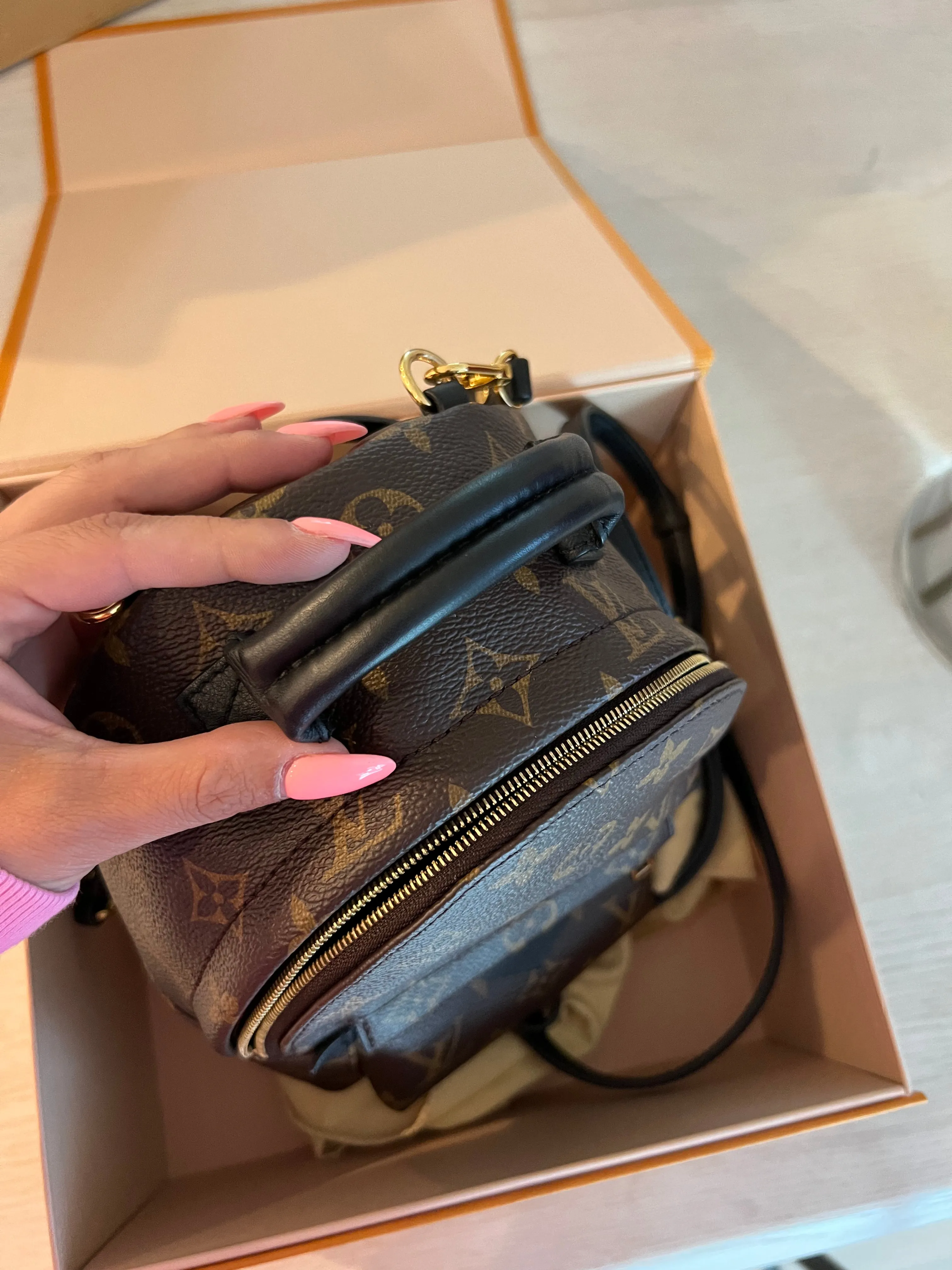 Louis Vuitton Palm Springs Mini Backpack