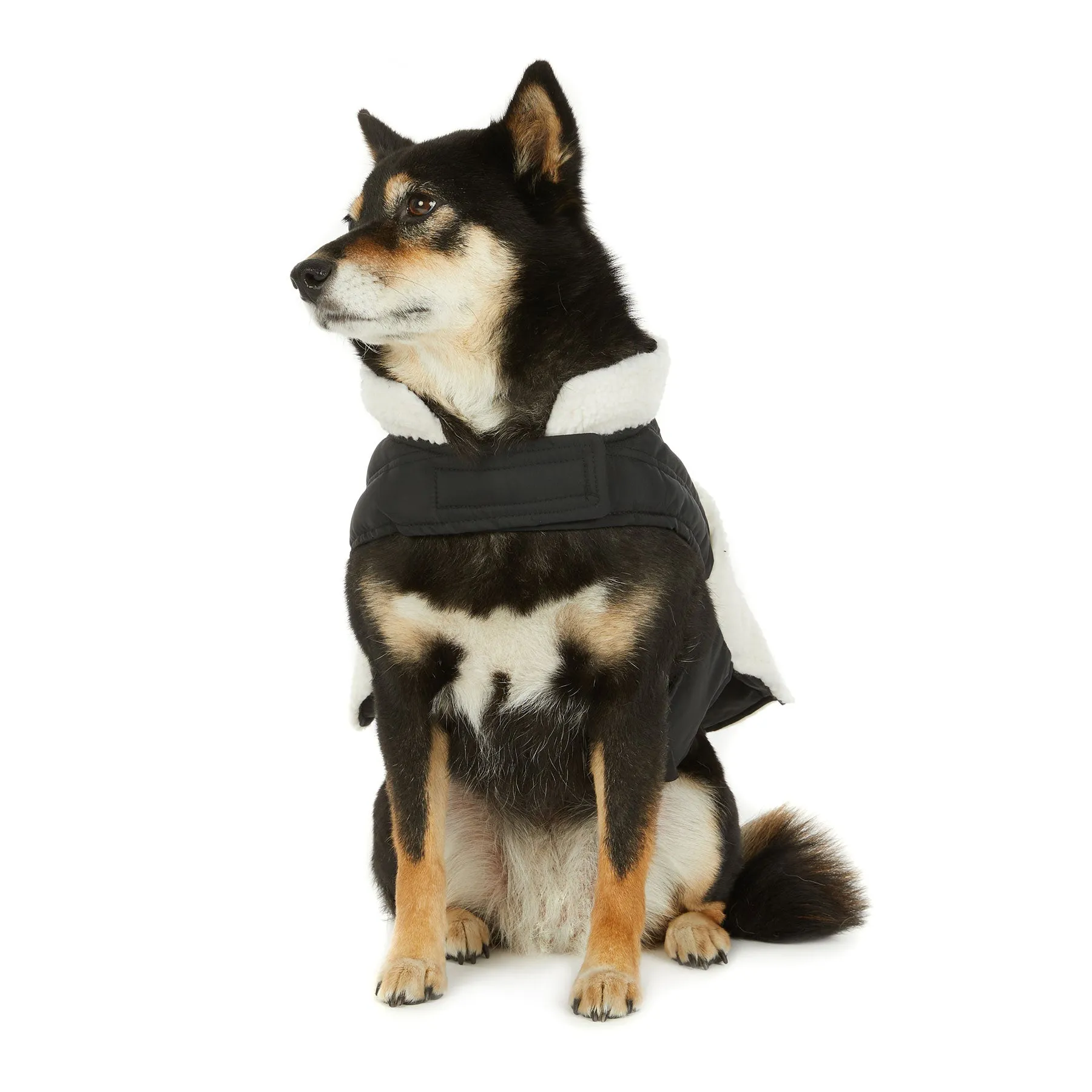 Shiloh Mixed-Media Jacket for Dogs