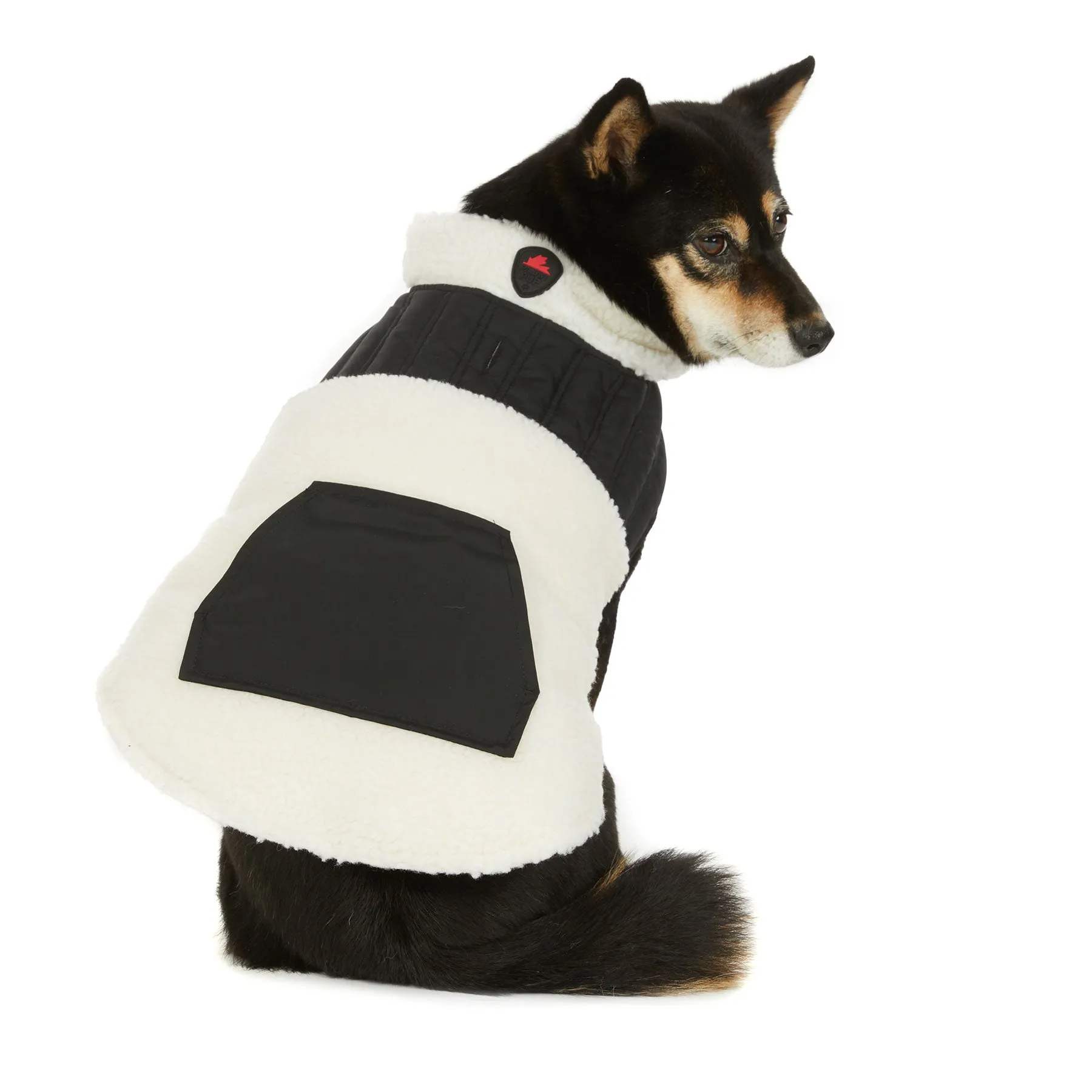 Shiloh Mixed-Media Jacket for Dogs