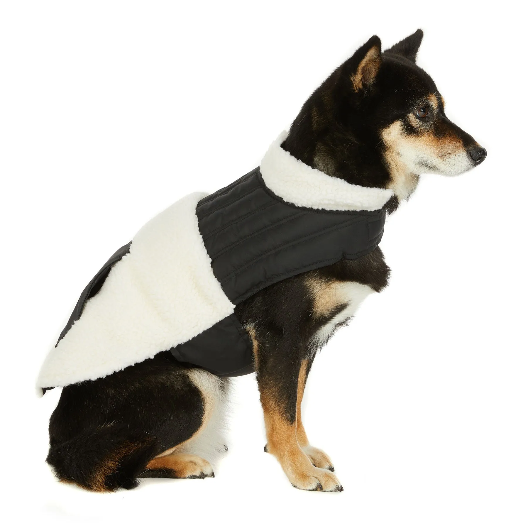 Shiloh Mixed-Media Jacket for Dogs